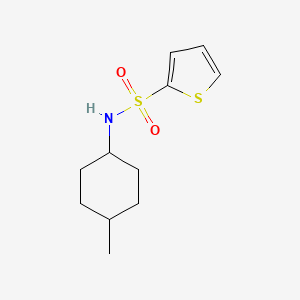 molecular formula C11H17NO2S2 B10970818 N-(4-methylcyclohexyl)thiophene-2-sulfonamide 