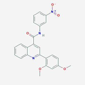 molecular formula C24H19N3O5 B10971964 2-(2,4-dimethoxyphenyl)-N-(3-nitrophenyl)quinoline-4-carboxamide 