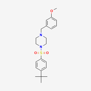 molecular formula C22H30N2O3S B10973371 1-[(4-Tert-butylphenyl)sulfonyl]-4-(3-methoxybenzyl)piperazine 