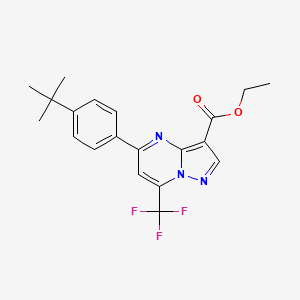 molecular formula C20H20F3N3O2 B10974364 Ethyl 5-(4-tert-butylphenyl)-7-(trifluoromethyl)pyrazolo[1,5-a]pyrimidine-3-carboxylate 