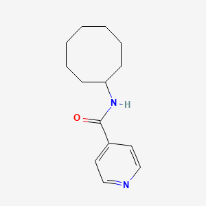 N-cyclooctylpyridine-4-carboxamide