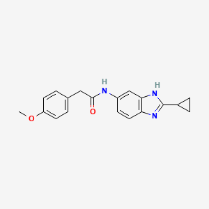 molecular formula C19H19N3O2 B10980580 N-(2-cyclopropyl-1H-benzimidazol-5-yl)-2-(4-methoxyphenyl)acetamide 