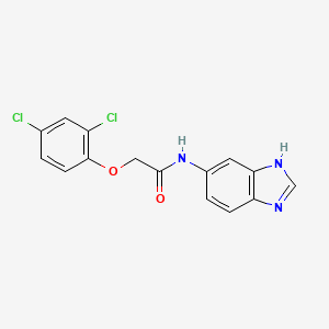 molecular formula C15H11Cl2N3O2 B10980798 N-(1H-benzimidazol-5-yl)-2-(2,4-dichlorophenoxy)acetamide 