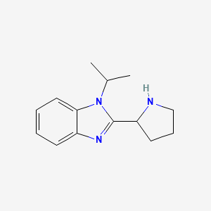 molecular formula C14H19N3 B10980895 1-(propan-2-yl)-2-(pyrrolidin-2-yl)-1H-benzimidazole 