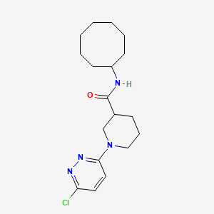 1-(6-chloropyridazin-3-yl)-N-cyclooctylpiperidine-3-carboxamide