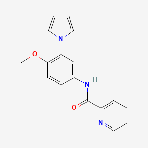 molecular formula C17H15N3O2 B10983822 N-[4-methoxy-3-(1H-pyrrol-1-yl)phenyl]pyridine-2-carboxamide 