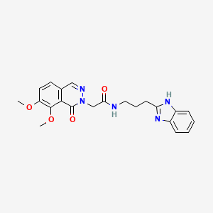 molecular formula C22H23N5O4 B10986916 N-[3-(1H-benzimidazol-2-yl)propyl]-2-(7,8-dimethoxy-1-oxophthalazin-2(1H)-yl)acetamide 