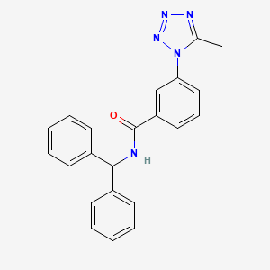 molecular formula C22H19N5O B10990479 N-(diphenylmethyl)-3-(5-methyl-1H-tetrazol-1-yl)benzamide 