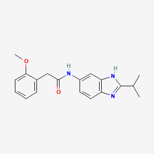 2-(2-methoxyphenyl)-N-[2-(propan-2-yl)-1H-benzimidazol-5-yl]acetamide