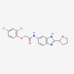 2-(2,4-dichlorophenoxy)-N-[2-(tetrahydrofuran-2-yl)-1H-benzimidazol-6-yl]acetamide