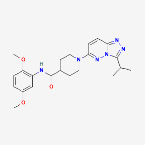 N-(2,5-dimethoxyphenyl)-1-[3-(propan-2-yl)[1,2,4]triazolo[4,3-b]pyridazin-6-yl]piperidine-4-carboxamide