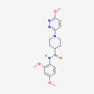 N-(2,4-dimethoxyphenyl)-1-(6-methoxypyridazin-3-yl)piperidine-4-carboxamide