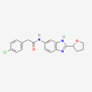 molecular formula C19H18ClN3O2 B11003169 2-(4-chlorophenyl)-N-[2-(tetrahydrofuran-2-yl)-1H-benzimidazol-5-yl]acetamide 