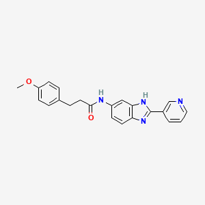 3-(4-methoxyphenyl)-N-[2-(pyridin-3-yl)-1H-benzimidazol-5-yl]propanamide