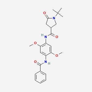 molecular formula C24H29N3O5 B11014212 1-tert-butyl-N-{2,5-dimethoxy-4-[(phenylcarbonyl)amino]phenyl}-5-oxopyrrolidine-3-carboxamide 