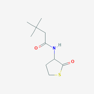 molecular formula C10H17NO2S B11015187 3,3-dimethyl-N-(2-oxothiolan-3-yl)butanamide 