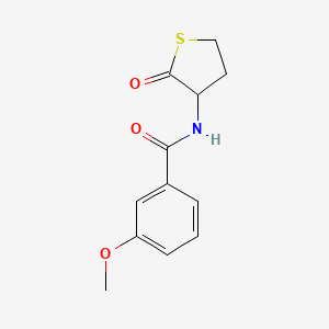 molecular formula C12H13NO3S B11017450 3-methoxy-N-(2-oxothiolan-3-yl)benzamide 