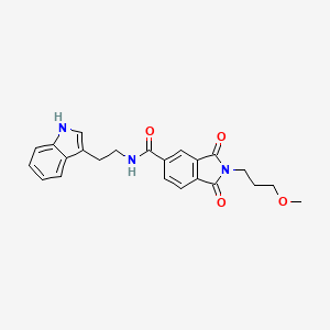 molecular formula C23H23N3O4 B11022114 N-[2-(1H-indol-3-yl)ethyl]-2-(3-methoxypropyl)-1,3-dioxo-2,3-dihydro-1H-isoindole-5-carboxamide 