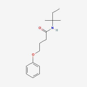 N-(2-methylbutan-2-yl)-4-phenoxybutanamide