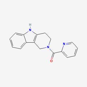 2-{1H,2H,3H,4H,5H-pyrido[4,3-b]indole-2-carbonyl}pyridine