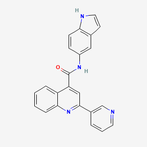 molecular formula C23H16N4O B11028228 N-(1H-indol-5-yl)-2-(pyridin-3-yl)quinoline-4-carboxamide 