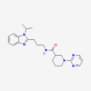 molecular formula C23H30N6O B11028398 N-{3-[1-(propan-2-yl)-1H-benzimidazol-2-yl]propyl}-1-(pyrimidin-2-yl)piperidine-3-carboxamide 