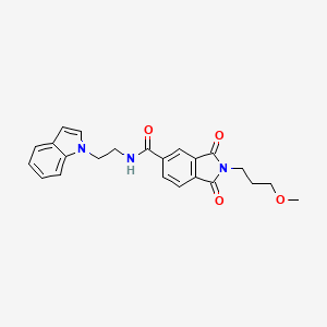 molecular formula C23H23N3O4 B11029931 N-[2-(1H-indol-1-yl)ethyl]-2-(3-methoxypropyl)-1,3-dioxo-2,3-dihydro-1H-isoindole-5-carboxamide 