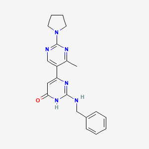 molecular formula C20H22N6O B11036099 2-(benzylamino)-6-[4-methyl-2-(1-pyrrolidinyl)-5-pyrimidinyl]-4(3H)-pyrimidinone 