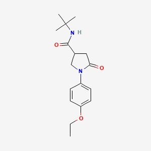 molecular formula C17H24N2O3 B11039143 N-tert-butyl-1-(4-ethoxyphenyl)-5-oxopyrrolidine-3-carboxamide 