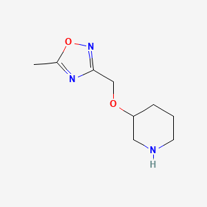 3-[(5-Methyl-1,2,4-oxadiazol-3-yl)methoxy]piperidine