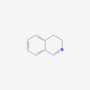 molecular formula C9H9N B110456 3,4-二氢异喹啉 CAS No. 3230-65-7
