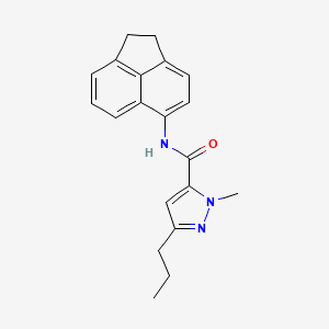 molecular formula C20H21N3O B11062761 1H-Pyrazole-5-carboxamide, N-(1,2-dihydro-5-acenaphthylenyl)-1-methyl-3-propyl- 