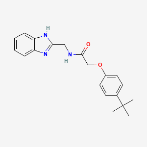 N-(1H-benzimidazol-2-ylmethyl)-2-(4-tert-butylphenoxy)acetamide