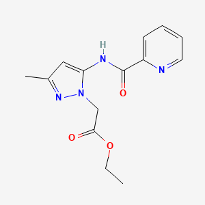 molecular formula C14H16N4O3 B11072739 ethyl {3-methyl-5-[(pyridin-2-ylcarbonyl)amino]-1H-pyrazol-1-yl}acetate 