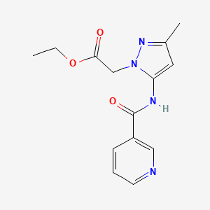 molecular formula C14H16N4O3 B11073666 ethyl {3-methyl-5-[(pyridin-3-ylcarbonyl)amino]-1H-pyrazol-1-yl}acetate 