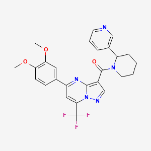 molecular formula C26H24F3N5O3 B11077960 [5-(3,4-Dimethoxyphenyl)-7-(trifluoromethyl)pyrazolo[1,5-a]pyrimidin-3-yl][2-(pyridin-3-yl)piperidin-1-yl]methanone 