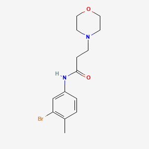 N-(3-bromo-4-methylphenyl)-3-(morpholin-4-yl)propanamide