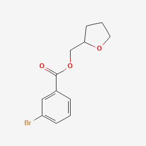 molecular formula C12H13BrO3 B11095208 Tetrahydro-2-furanylmethyl 3-bromobenzoate 