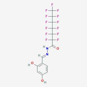 molecular formula C14H7F13N2O3 B11096943 N'-[(E)-(2,4-dihydroxyphenyl)methylidene]-2,2,3,3,4,4,5,5,6,6,7,7,7-tridecafluoroheptanehydrazide 