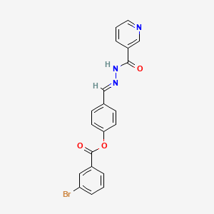 molecular formula C20H14BrN3O3 B11101185 4-{(E)-[2-(pyridin-3-ylcarbonyl)hydrazinylidene]methyl}phenyl 3-bromobenzoate 