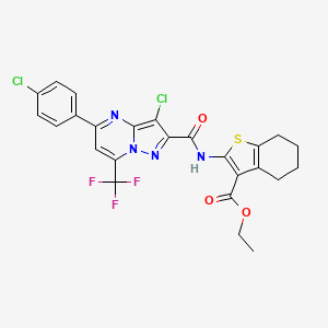 molecular formula C25H19Cl2F3N4O3S B11103687 Ethyl 2-({[3-chloro-5-(4-chlorophenyl)-7-(trifluoromethyl)pyrazolo[1,5-a]pyrimidin-2-yl]carbonyl}amino)-4,5,6,7-tetrahydro-1-benzothiophene-3-carboxylate 