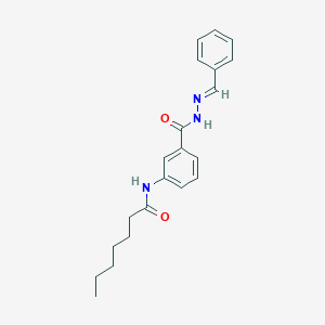 N-(3-{[(2E)-2-benzylidenehydrazinyl]carbonyl}phenyl)heptanamide