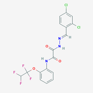 2-[(2E)-2-(2,4-dichlorobenzylidene)hydrazinyl]-2-oxo-N-[2-(1,1,2,2-tetrafluoroethoxy)phenyl]acetamide