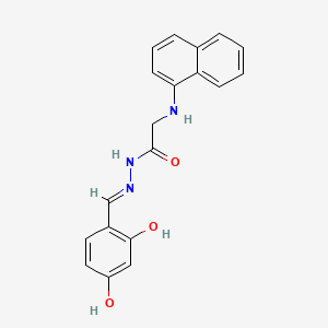 molecular formula C19H17N3O3 B11114088 N'-[(E)-(2,4-Dihydroxyphenyl)methylidene]-2-[(naphthalen-1-YL)amino]acetohydrazide 