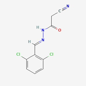 molecular formula C10H7Cl2N3O B11114664 2-cyano-N'-[(E)-(2,6-dichlorophenyl)methylidene]acetohydrazide 