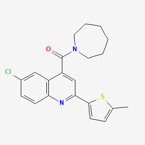 4-(Azepane-1-carbonyl)-6-chloro-2-(5-methylthiophen-2-YL)quinoline