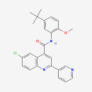 N-(5-tert-butyl-2-methoxyphenyl)-6-chloro-2-(pyridin-3-yl)quinoline-4-carboxamide