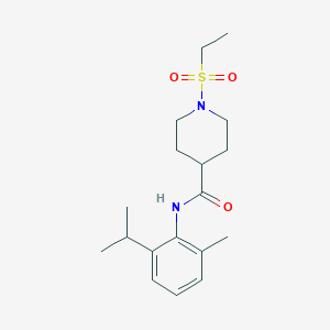 1-(ethylsulfonyl)-N-[2-methyl-6-(propan-2-yl)phenyl]piperidine-4-carboxamide