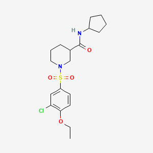 1-[(3-chloro-4-ethoxyphenyl)sulfonyl]-N-cyclopentylpiperidine-3-carboxamide