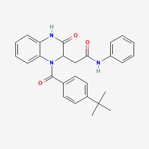 2-{1-[(4-tert-butylphenyl)carbonyl]-3-oxo-1,2,3,4-tetrahydroquinoxalin-2-yl}-N-phenylacetamide